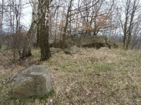 Počerny 3: Dvě lokality balvanů z rozptýleného křemencového příkrovu z doby oligocénu ? tj. druhohorní řečiště Ohře.