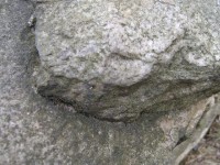 Počerny 9: Dvě lokality balvanů z rozptýleného křemencového příkrovu z doby oligocénu ? tj. druhohorní řečiště Ohře.