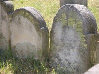 Detail náhrobků: detail náhrobků na židovském hřbitově