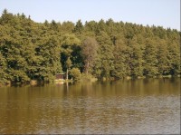Rybník Hvížďalka: Rybník Hvížďalka ve Spáleném Poříčí, kterým protéká Bradava  je samostatný mimopstruhový revír. 