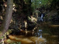 Jezírko pod rybníkem: Za přelivem tvoří potok peřeje a vodopád končící v jezírku. 