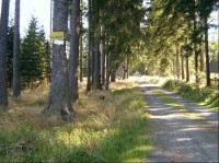 Rozcestí Pod Skalami: pohled na rozcestník Pod Skalami a na žlutě a modře značenou cestu k rozcestí U Dívčí Studánky