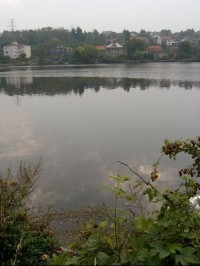 Pohled na Vrané: pohled přez přehradu na obec Vrané nad Vltavou
