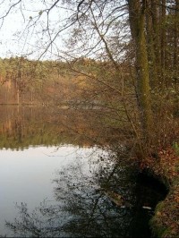 Dvorský rybník