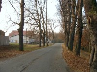 Cesta od zámku: Pohled od zámku po příjezdové cestě k městečku Kamenice.