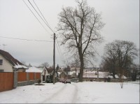 Obec Oleška v zimě