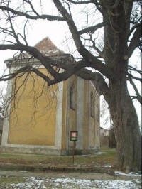 kaple sv. Archanděla Michaela s památným stromem
