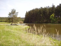 rybník Obůrka u Hrutova