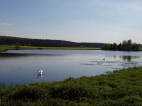 Nový rybník u Hrutova