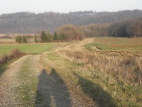 údolí Opavy, vlevo v rákosí rybník Štěpán (od Martinova)
