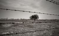 Auschwitz II- dřevěné baráky a trosky baráků zděných - (terén blátivý)