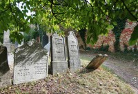 Mikulov židovský hřbitov podzim  2016