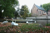Minnewater  - jezero Lásky - Brugge