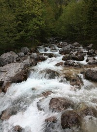 Pod pramenem řeky Soča  - Triglavský národní park