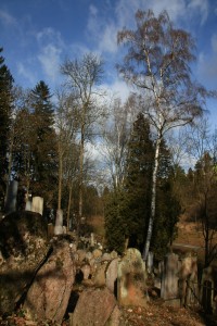 Židovský hřbitov Třebíč  únor 2012