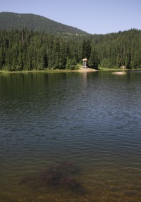 Siněvirské jezero - krmení potěru