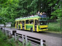 Dvůr Králové - ZOO safari bus