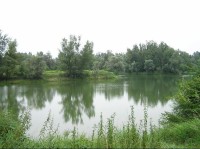 Antošovice - jeden z rybníků: Antošovice - jeden z rybníků