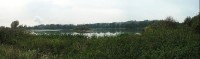 Košťálovický rybník: Košťálovický rybník - panorama