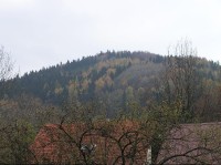 Kozlovická hora: Kozlovická hora