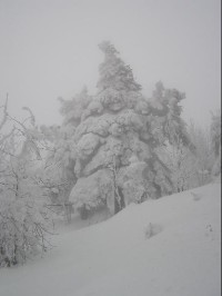 Gabrielka: Gabrielka - sníh na konci listopadu