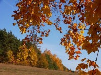 Podzimní: krajina nad Kunštátem