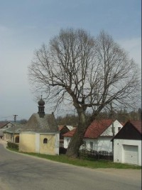 Krasíkov