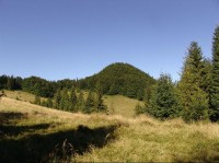 Vysoké Skalky 1050 mnm: Pohľad na vrchol zo sedla na hranici Poľsko-Slovensko, križovatka tur. chodníkov zelená x modrá.