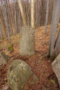 Mohylky 2: Mini stonehenge na slovenský spôsob v Slanských vrchoch. Skutočná výška cca 180 cm. Andezit in situ.