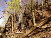 Zamutovské skaly: Typické skalné vežičky uprostred javorín a bučín