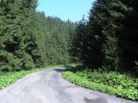 Cesta: Pohled od rozcestníku na cestu směrem k pramenu Smradlavy