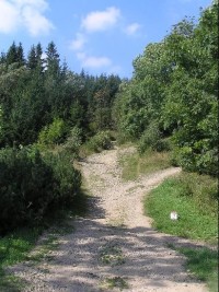 Cesta: Cesta směrem na Masarykovu chatu