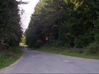 Cesta: Neznačená cesta směrem na Valaššské Maziříčí, Podlesí