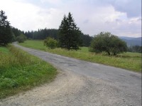 Cesta: Cesta směrem na Holčovice