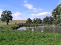 Rybník: Chovný rybník u Slavkova