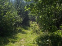 Cesta: Cesta od rozcestníku směrem na Valašské Meziříčí