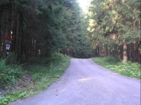 Cesta: Neznačená cesta směr Vjadačka, Doroťanka