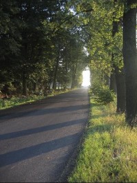 Cesta: Cesta od rozcestníku směrem na Suchdol nad Odrou