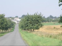 Jestřábí: Pohled na hlavní cestu, směrem od Kletné