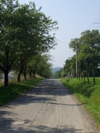 Cesta: Pohled na cestu směrem na Valašské Meziříčí