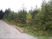 Cesta: Cesta Jakubčovice-Vyškovice