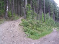 Rozcestník: Okolí rozcestníku, horní cesta směrem na Františkovu chatu, dolní na Železnou