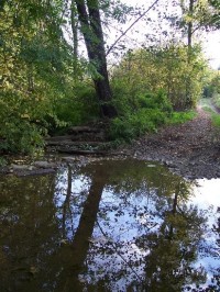 Gručovka: Pohled na potok
