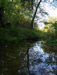 Gručovka: Pohled na potok