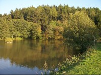 Rybník: Pohled na rybník na Nadějkovském potoce