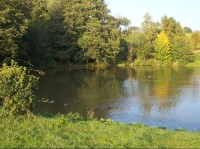 Rybník na Nadějovském potoku: Pohled na rybník na Nadějkovském potoku