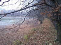 Gríšův rybník: Pohled na rybník