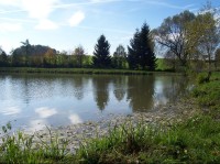 Hájovský rybník: Pohled na rybník