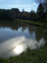 Hájovský rybník: Pohled na rybník