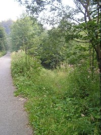 Od rozcestníku na Kamenárku (chodníkem vpravo od silnice)